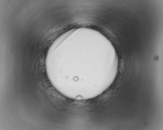 X0000112720917200910011128