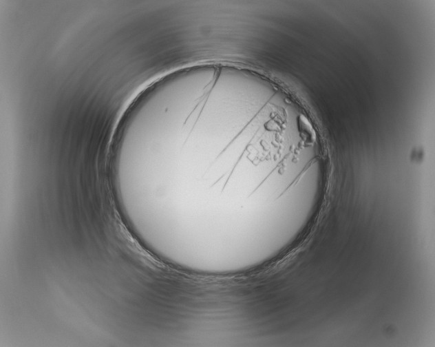 X0000112720924200910011128