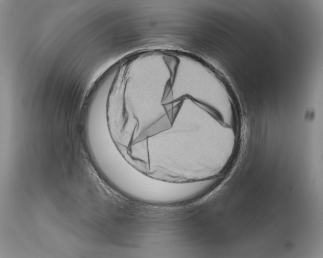 X0000112720925200910011128