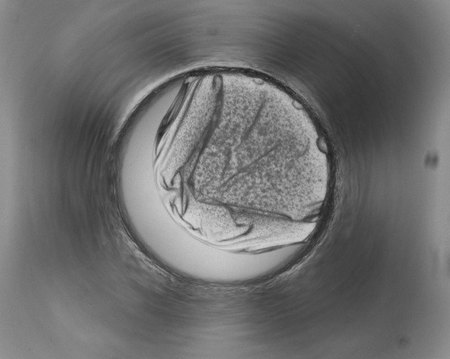 X0000112720926200910011128