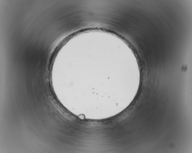 X0000112720927200910011128