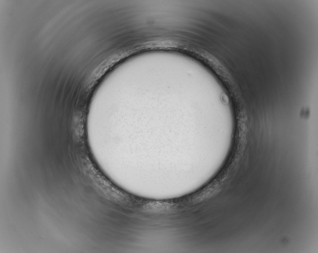 X0000112720929200910011128