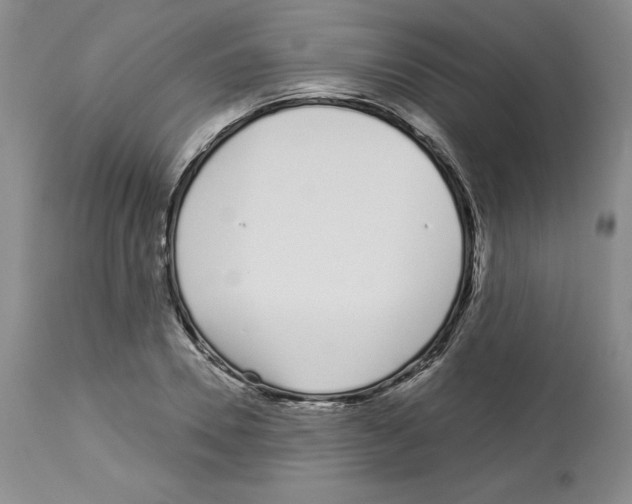 X0000112720930200910011128