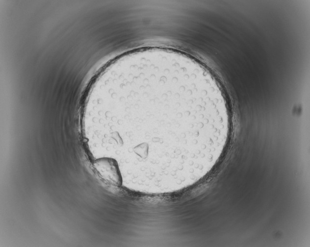 X0000112720931200910011128