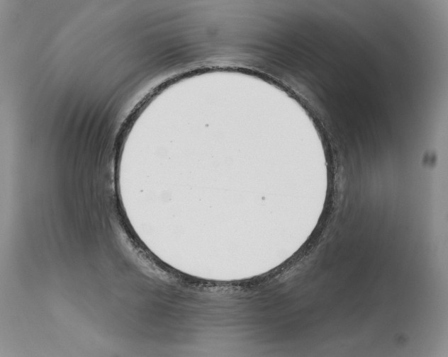 X0000112720934200910011128