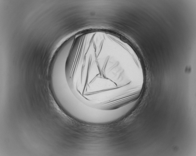 X0000112720935200910011128