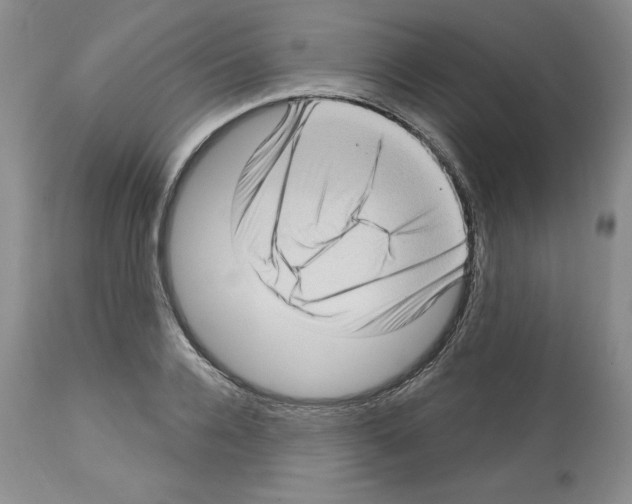 X0000112720936200910011128