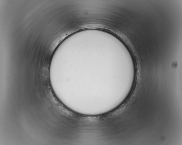 X0000112720937200910011128