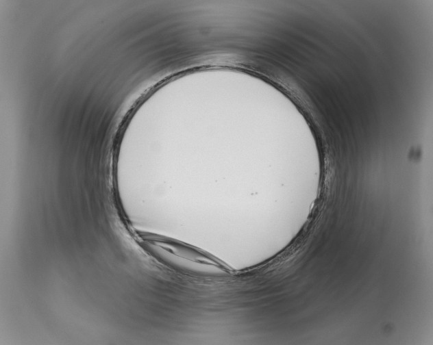 X0000112720939200910011128