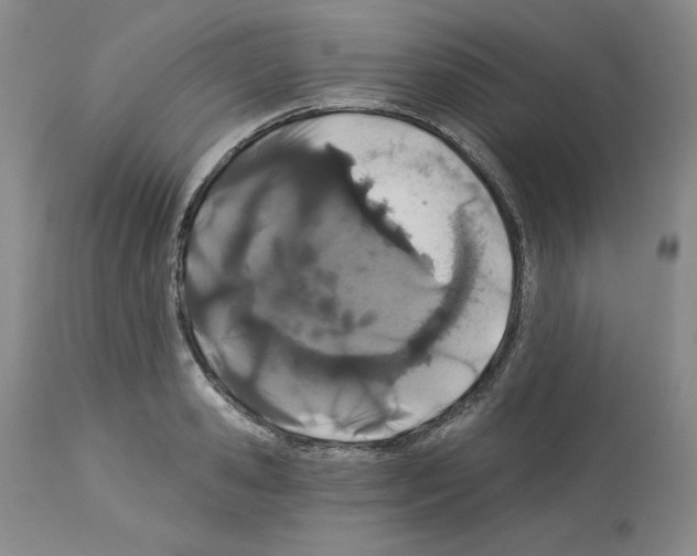 X0000112720941200910011128