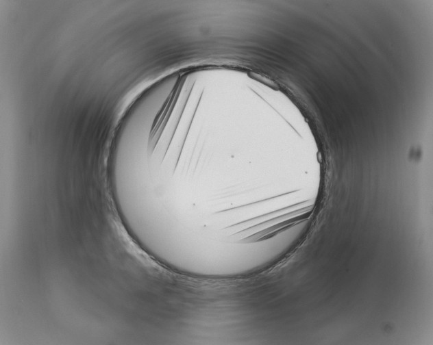 X0000112720944200910011128