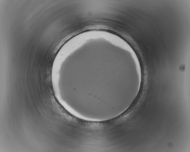 X0000112720945200910011128