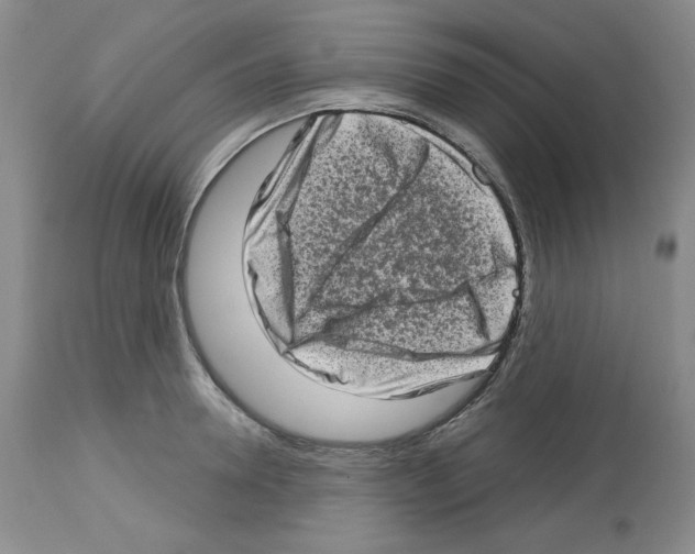 X0000112720946200910011128