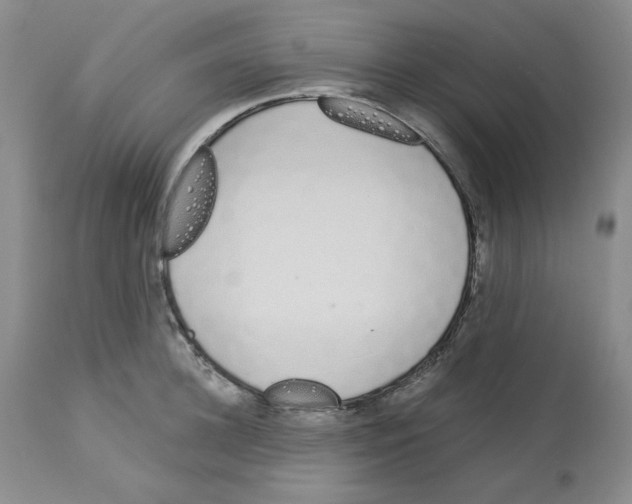 X0000112720948200910011129