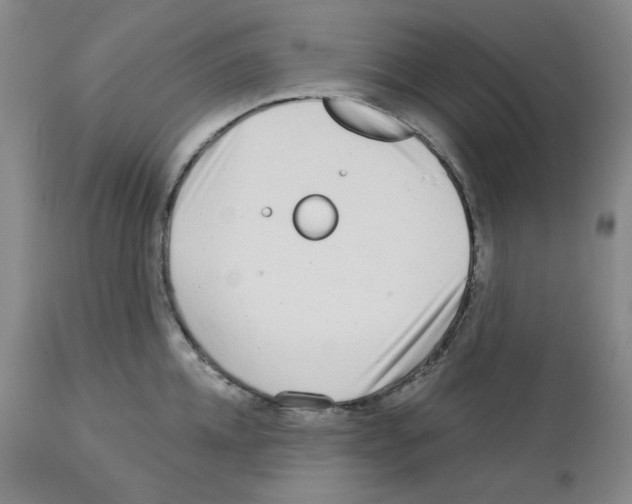 X0000112720952200910011129