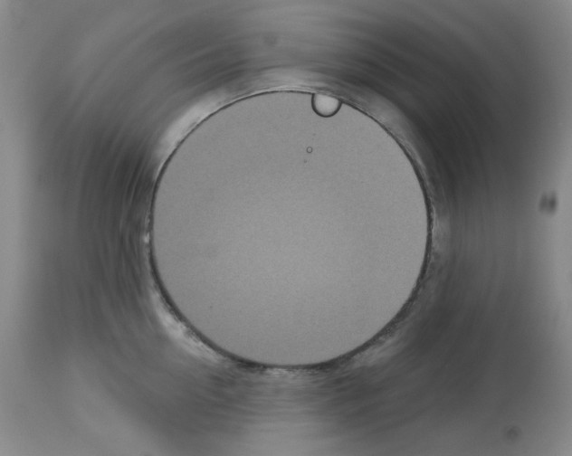 X0000112720954200910011129