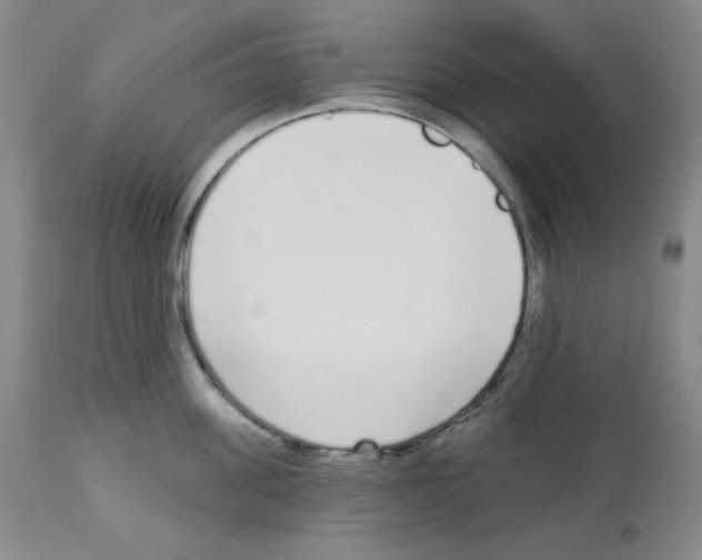 X0000112720955200910011129