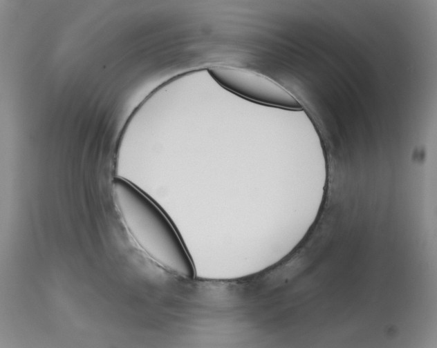 X0000112720956200910011129