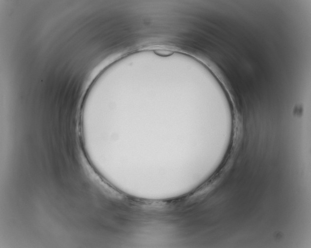 X0000112720957200910011129