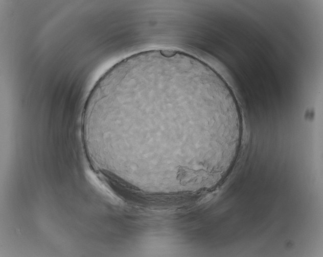 X0000112720958200910011129