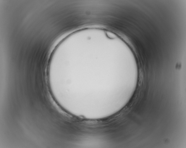 X0000112720959200910011129