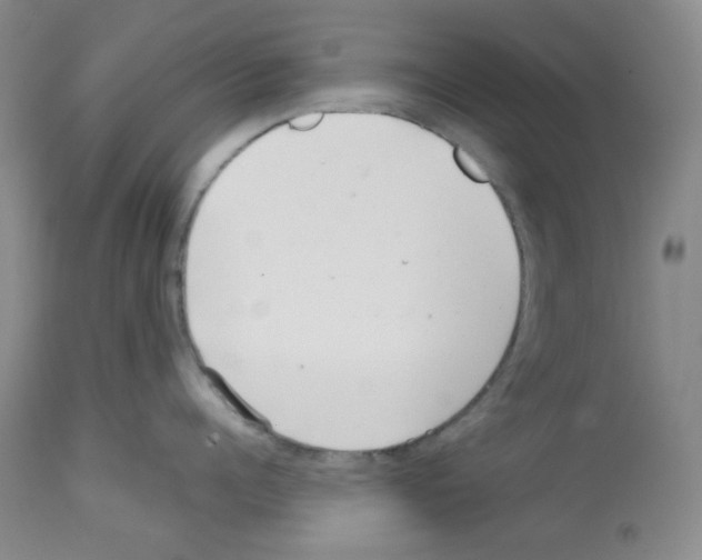 X0000112720960200910011129