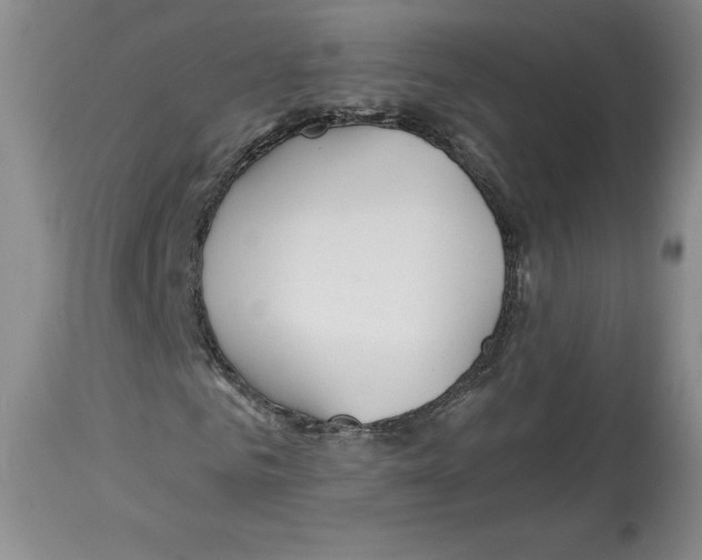 X0000112720961200910011128