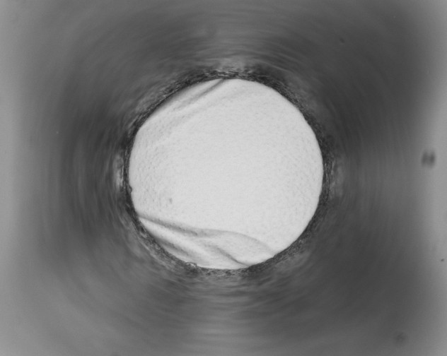 X0000112720962200910011128