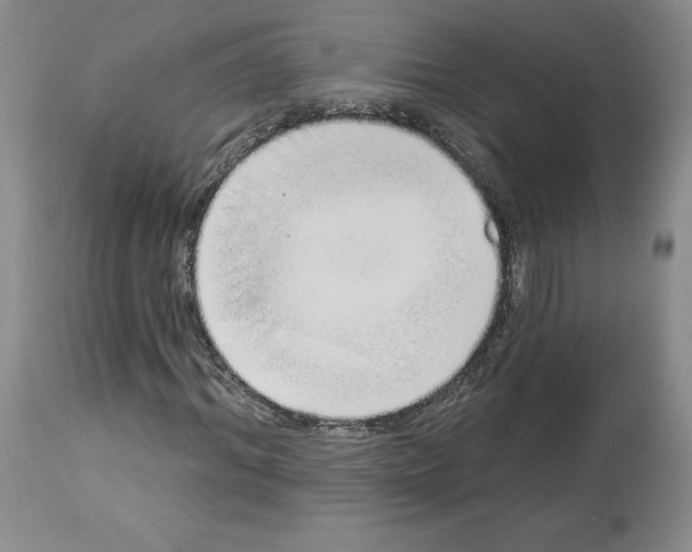 X0000112720964200910011128