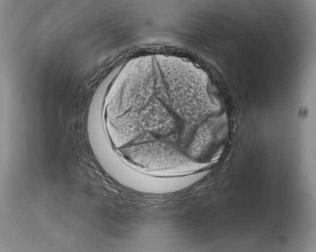 X0000112720965200910011128