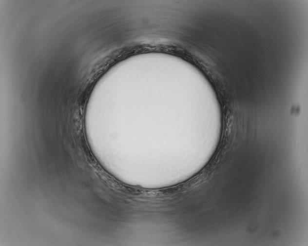 X0000112720966200910011128