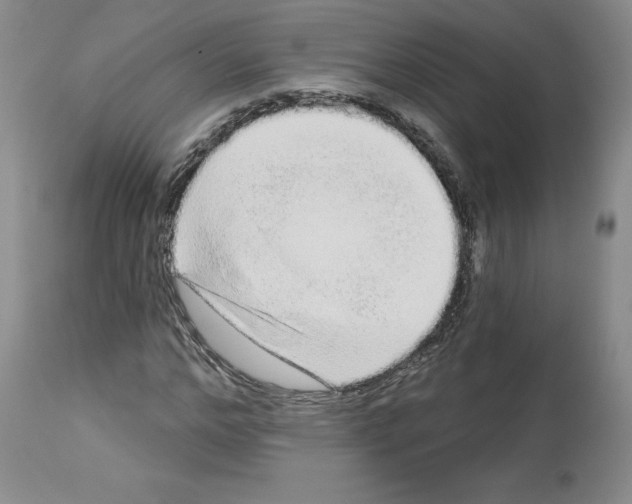 X0000112720968200910011128