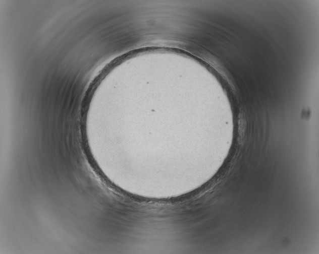 X0000112720972200910011128