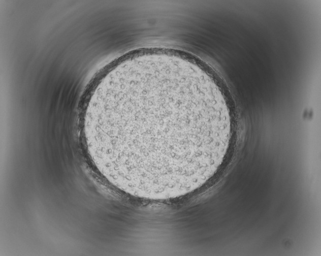 X0000112720974200910011128