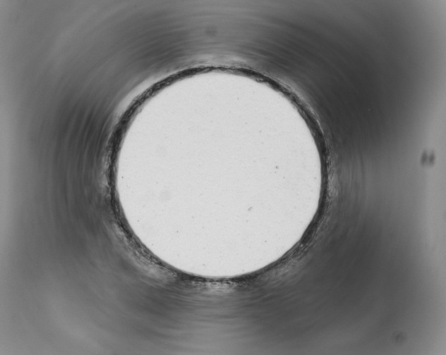 X0000112720975200910011128