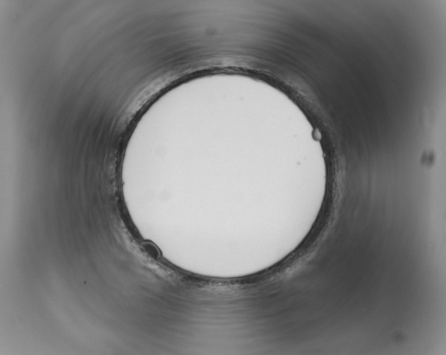 X0000112720977200910011128