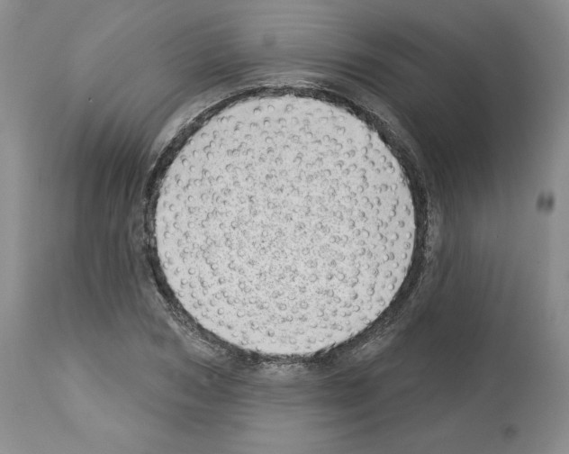 X0000112720978200910011128