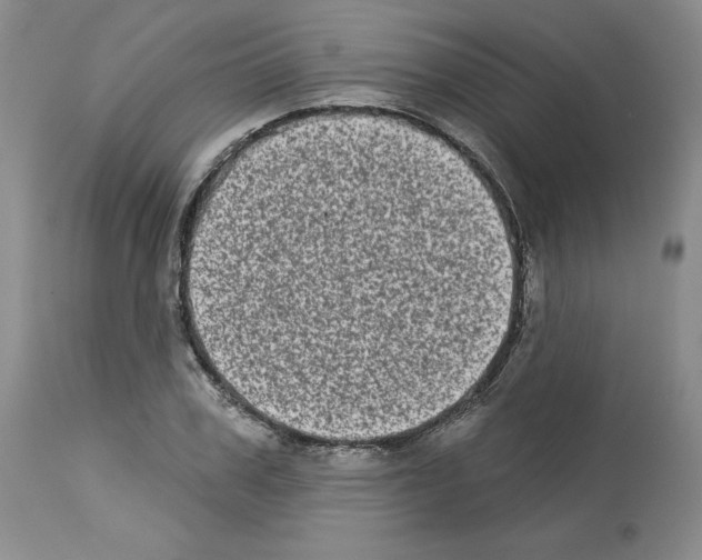 X0000112720979200910011128