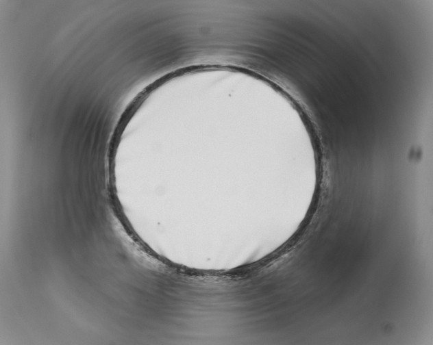 X0000112720980200910011128