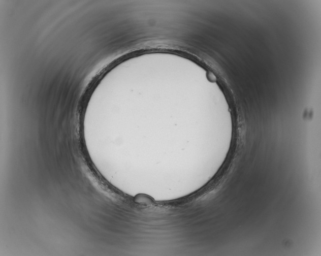 X0000112720981200910011128