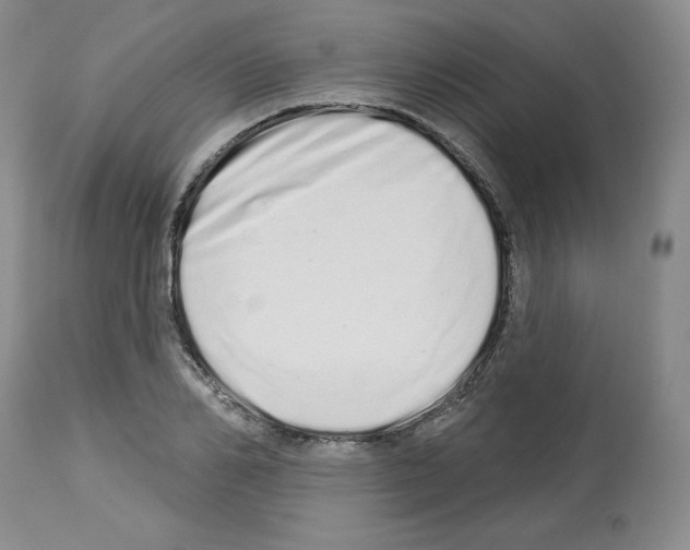 X0000112720982200910011128