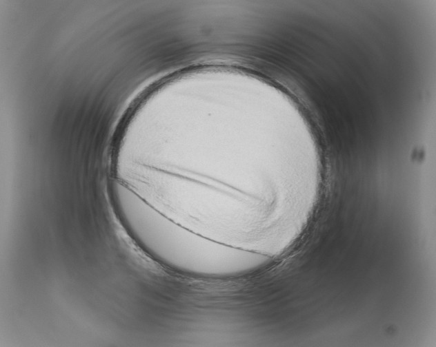 X0000112720984200910011128