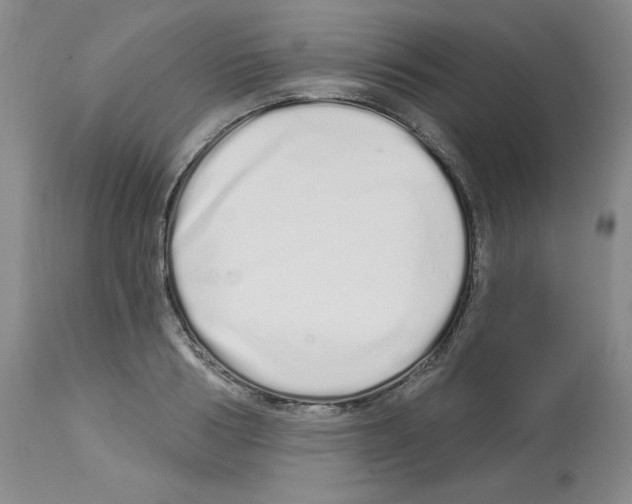 X0000112720986200910011128