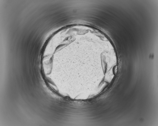 X0000112720987200910011128