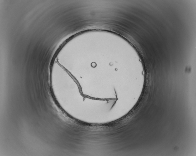 X0000112720988200910011128