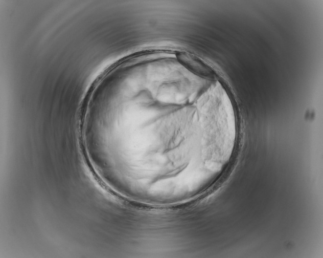 X0000112720989200910011128