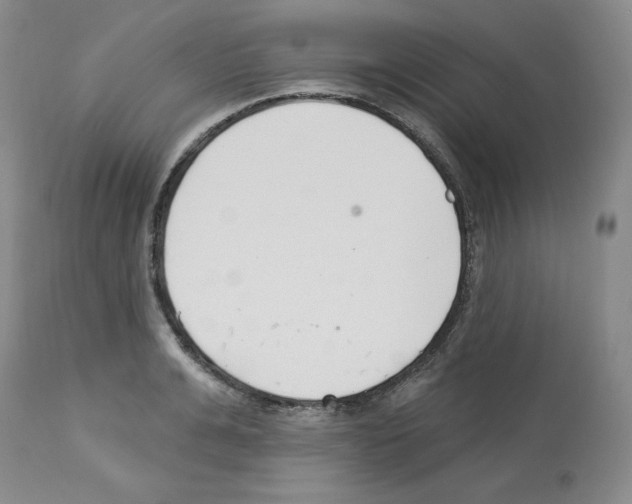 X0000112720991200910011128