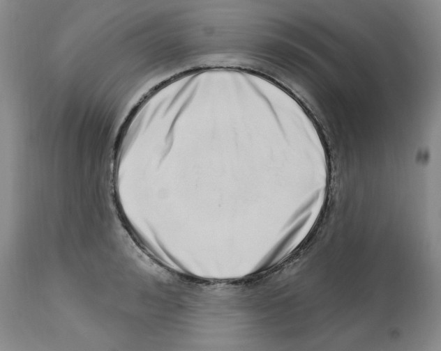 X0000112720992200910011128