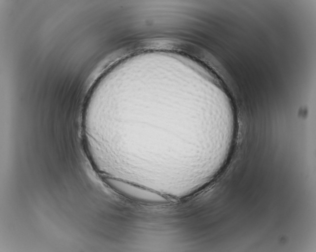 X0000112720994200910011128