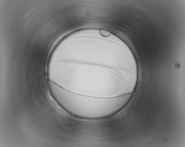 X0000112720996200910011128